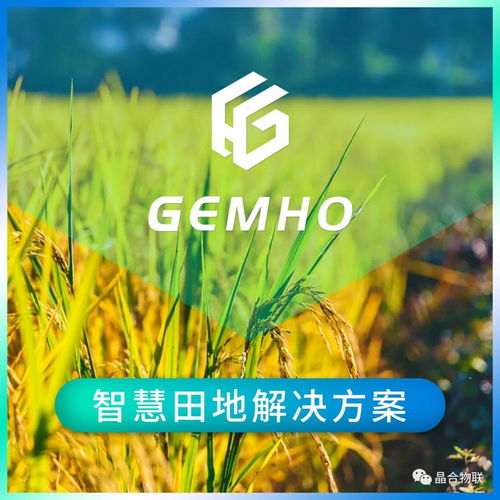 物聯(lián)網(wǎng)產(chǎn)業(yè)持續(xù)深化,5g賦能助力農(nóng)業(yè)生產(chǎn)