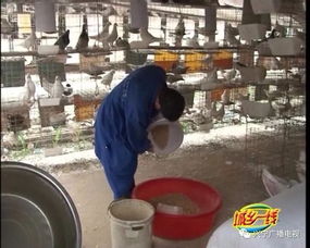 梅州金綠獲省農(nóng)業(yè)廳產(chǎn)業(yè)技術(shù)研發(fā)中心授牌 產(chǎn)業(yè)發(fā)展再升級(jí)